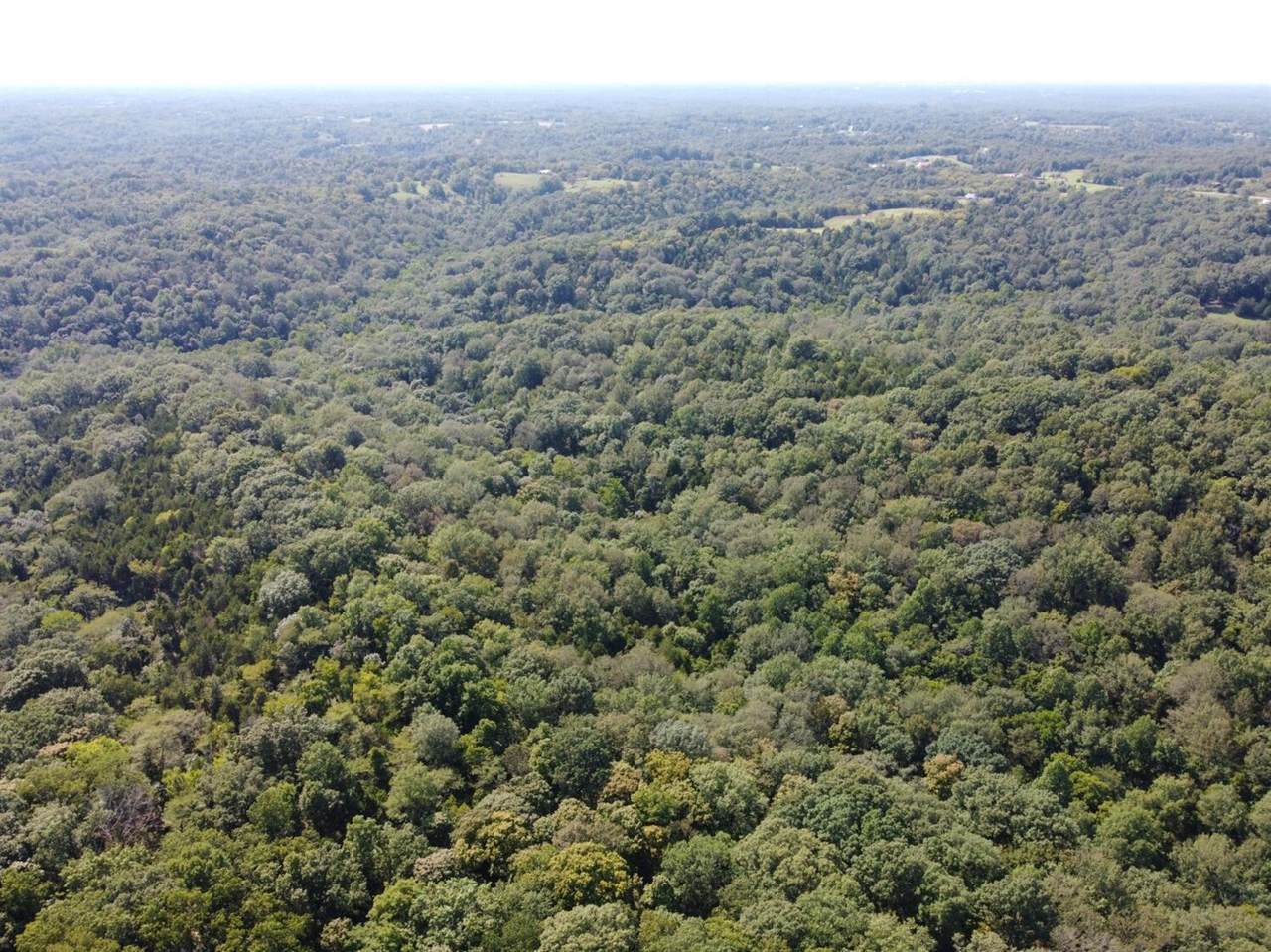 91 Flags Fork Road - Photo 1