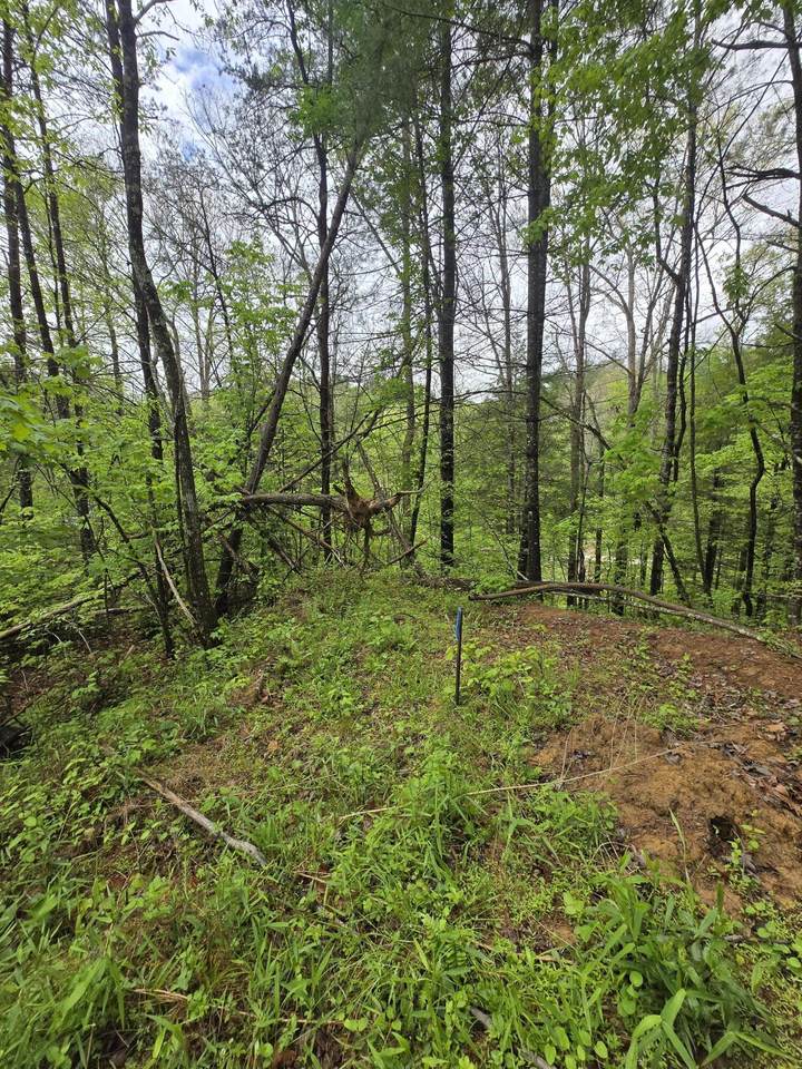 Lot 52 Soul Canyon Hideaways Development - Photo 1