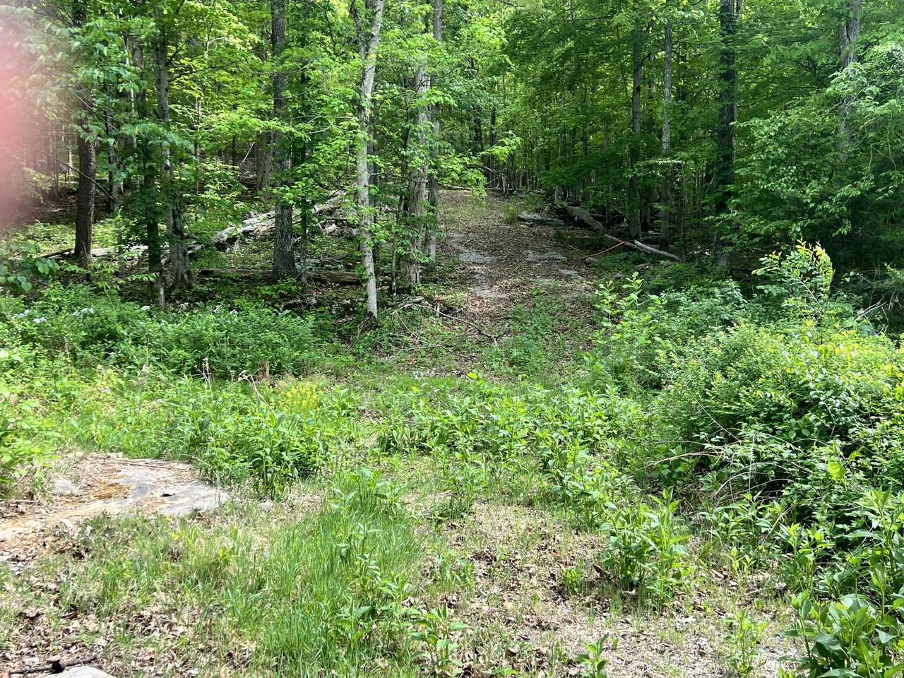 https://bt-photos.global.ssl.fastly.net/lexington/1280_boomver_1_20260430103734397571000000-2.jpg