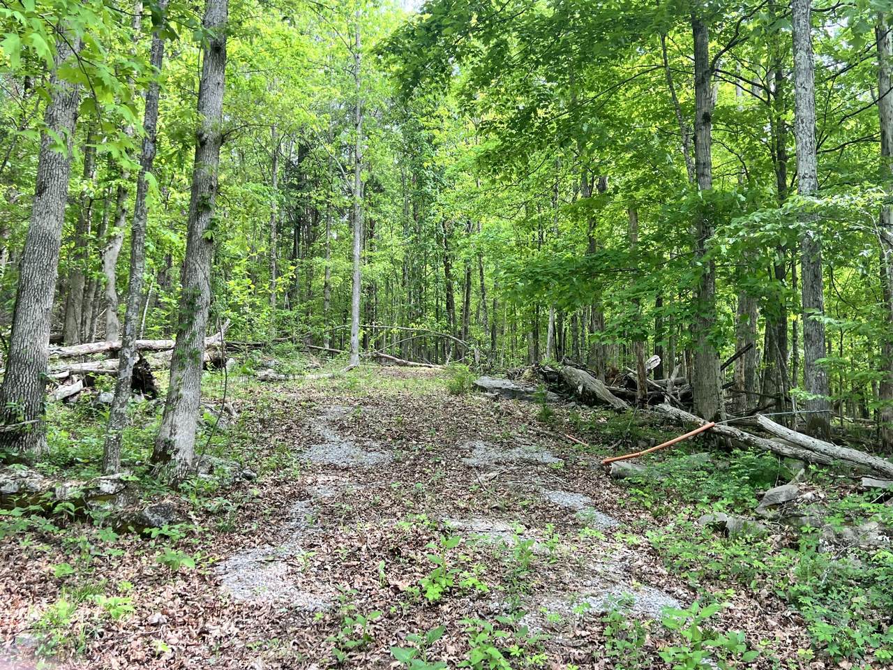 https://bt-photos.global.ssl.fastly.net/lexington/1280_boomver_1_20260430103734397571000000-2.jpg