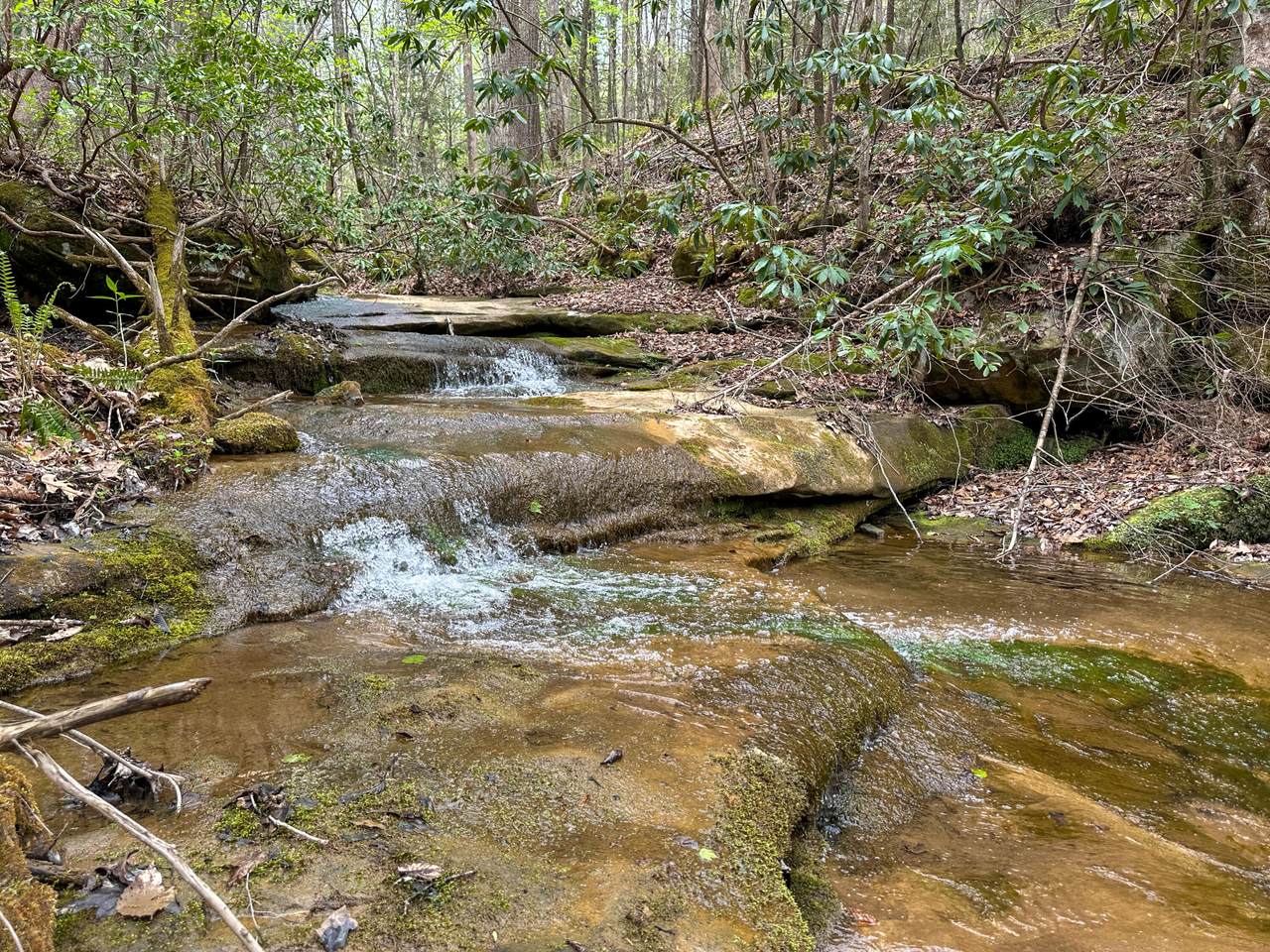0 Dryfork Road - Photo 1
