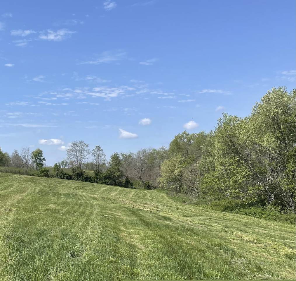 3527 36 Highway - Photo 1