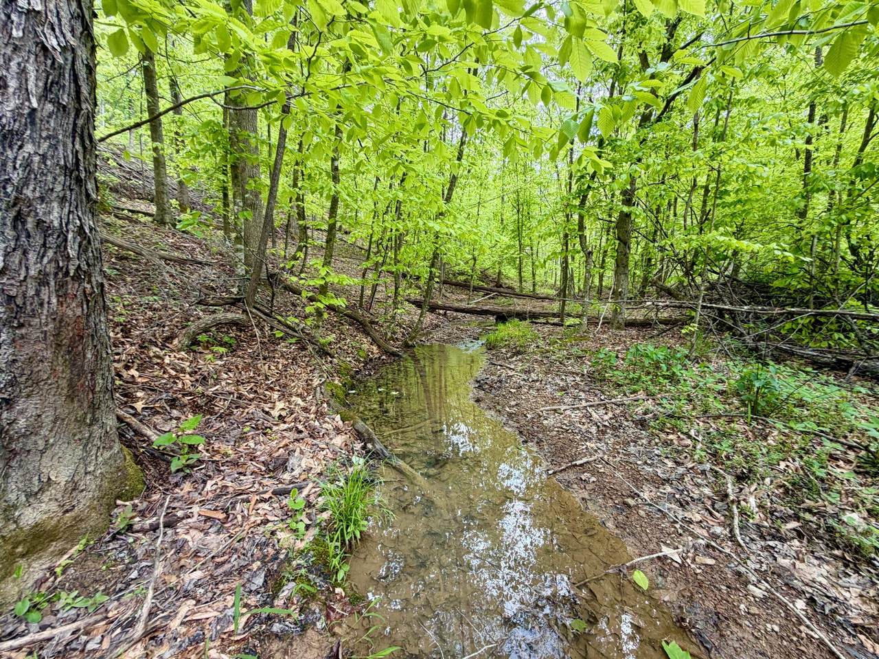 https://bt-photos.global.ssl.fastly.net/lexington/1280_boomver_1_20260503022820516475000000-2.jpg