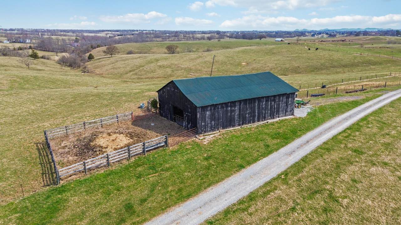 1630 Richmond Road - Photo 1