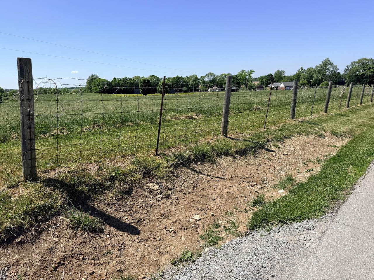 https://bt-photos.global.ssl.fastly.net/lexington/1280_boomver_1_20260503170133004223000000-2.jpg