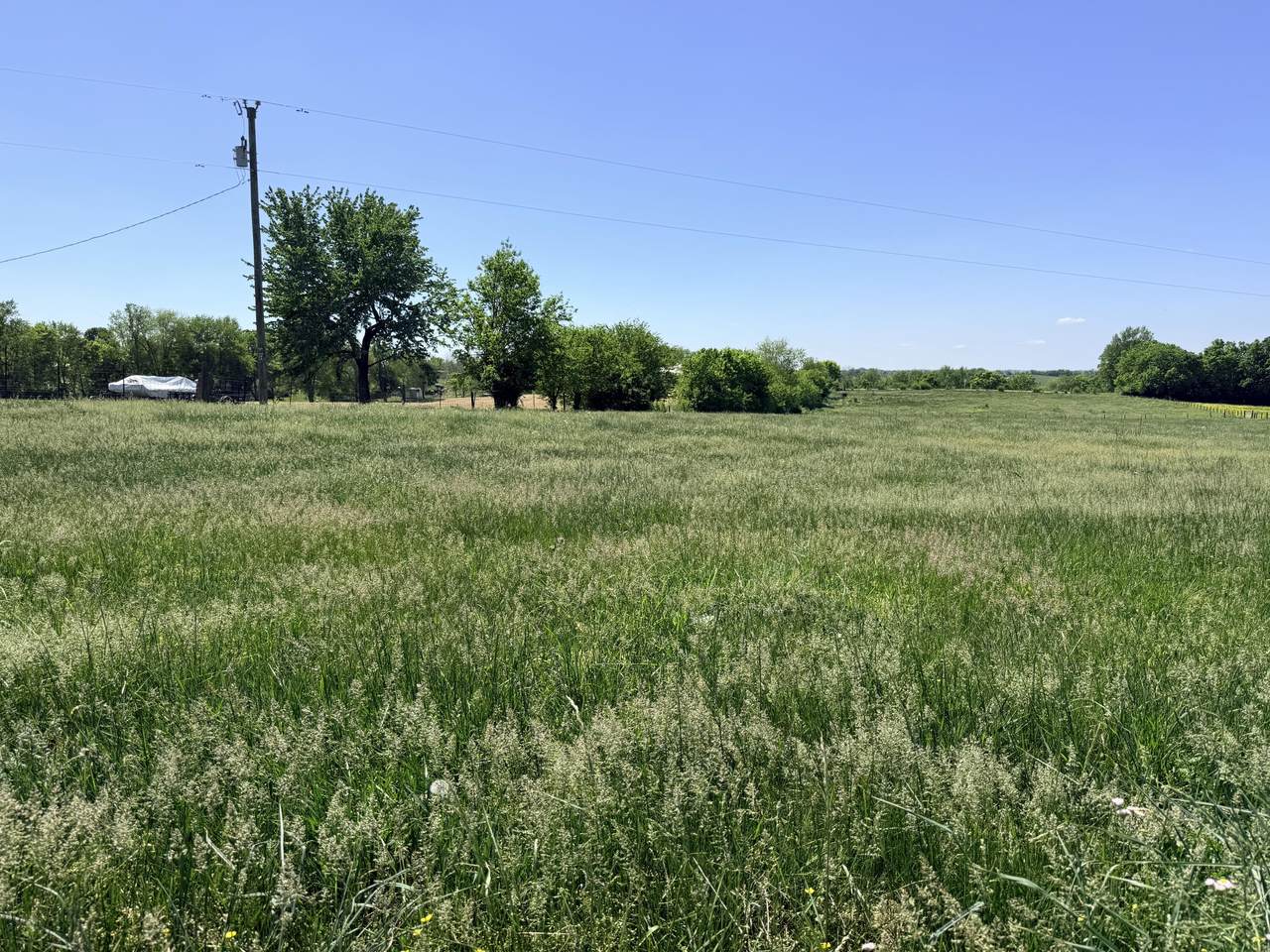 https://bt-photos.global.ssl.fastly.net/lexington/1280_boomver_1_20260503170133004223000000-2.jpg