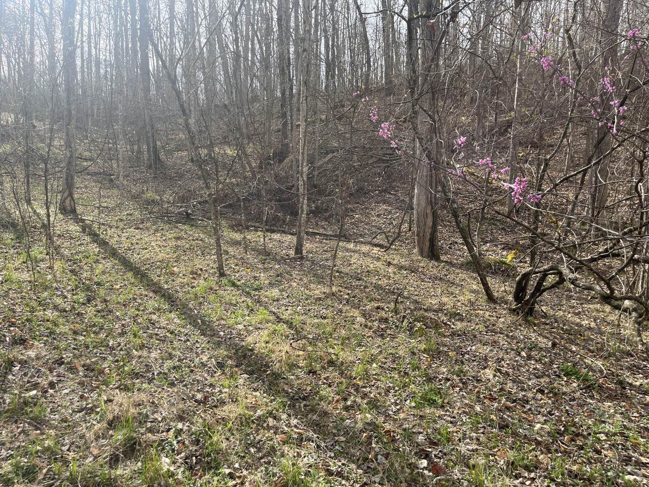 https://bt-photos.global.ssl.fastly.net/lexington/1280_boomver_1_20260504012240131009000000-2.jpg
