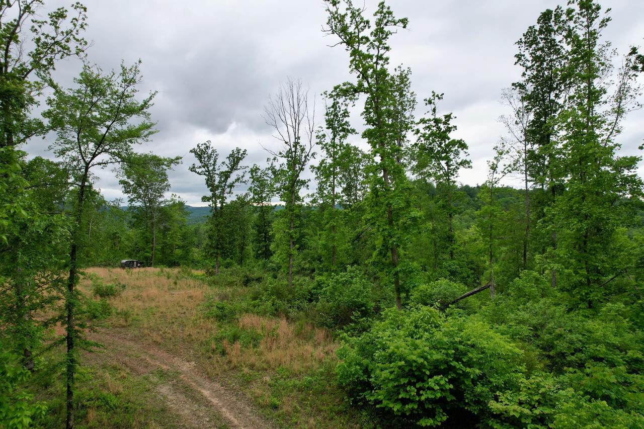https://bt-photos.global.ssl.fastly.net/lexington/1280_boomver_1_20260505115649824470000000-2.jpg