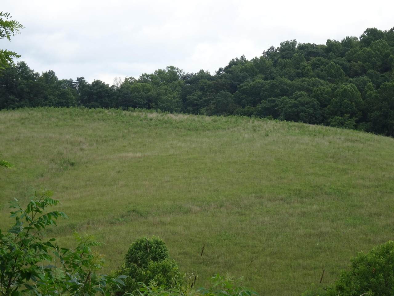 521 Artville Road - Photo 1