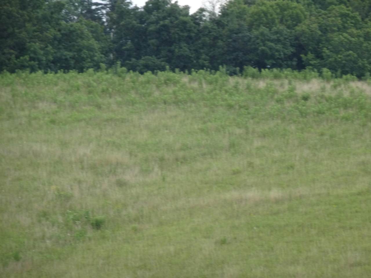 https://bt-photos.global.ssl.fastly.net/lexington/1280_boomver_1_20260505122515083705000000-2.jpg