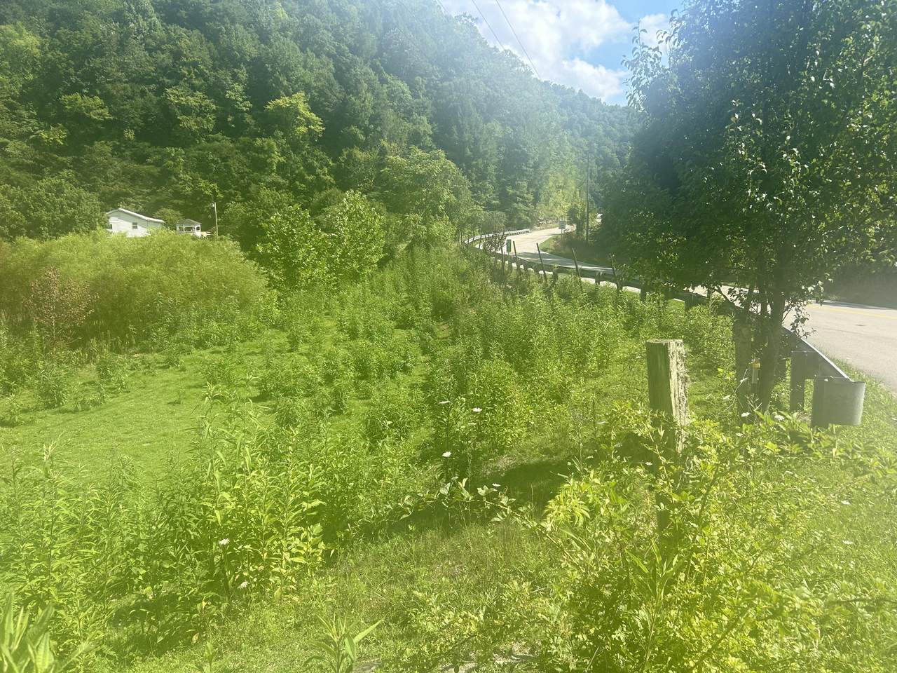 9999 North Hwy 66 Oneida Ky - Photo 1