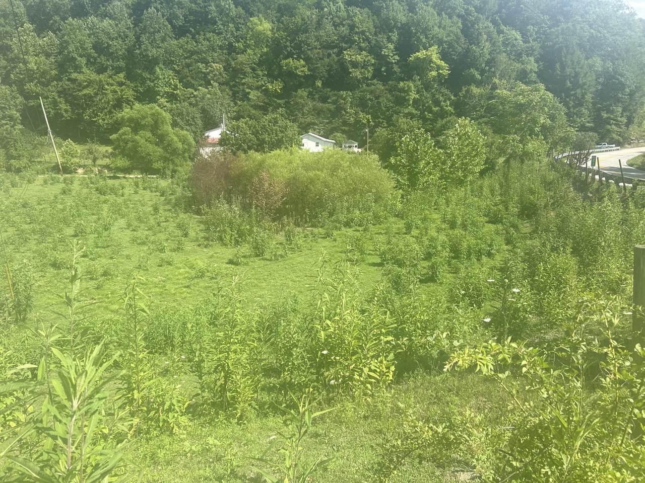 https://bt-photos.global.ssl.fastly.net/lexington/1280_boomver_1_20260505132330327128000000-2.jpg