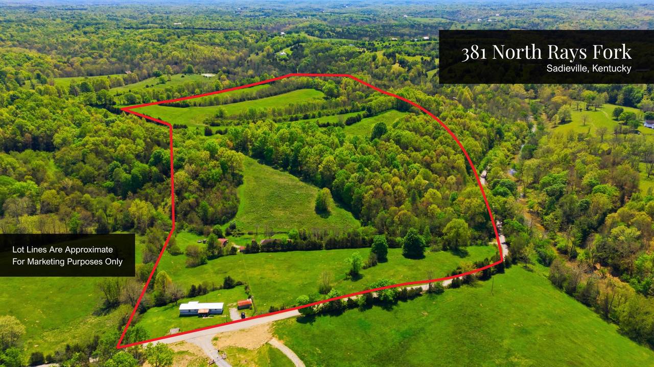 375 Rays Fork Road - Photo 1
