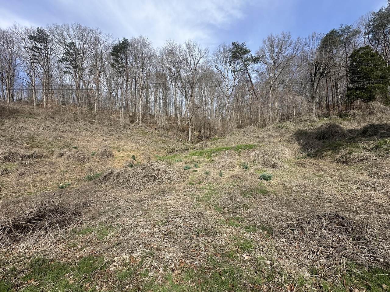 https://bt-photos.global.ssl.fastly.net/lexington/1280_boomver_1_20260506151336584816000000-2.jpg