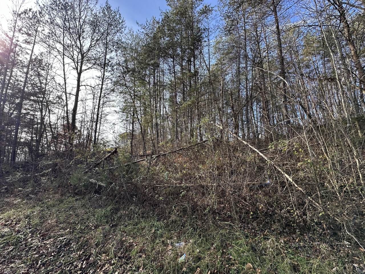 0 Hemlock Subdivision Road - Photo 1
