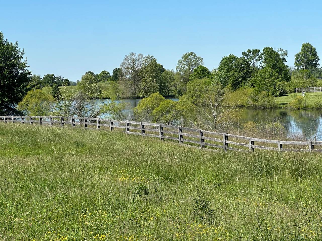 10 Acres Mt. Horeb Pike - Photo 1