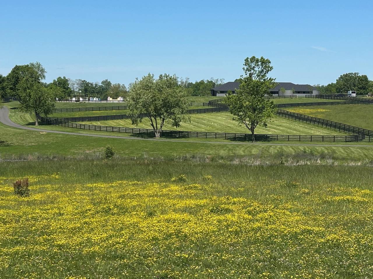https://bt-photos.global.ssl.fastly.net/lexington/1280_boomver_1_20260507212354547574000000-2.jpg