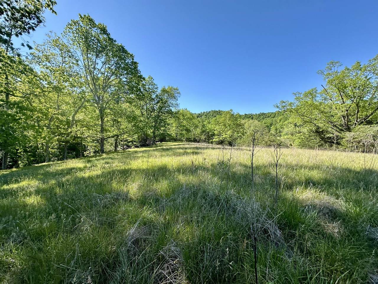 1170 Doe Creek Road - Photo 1