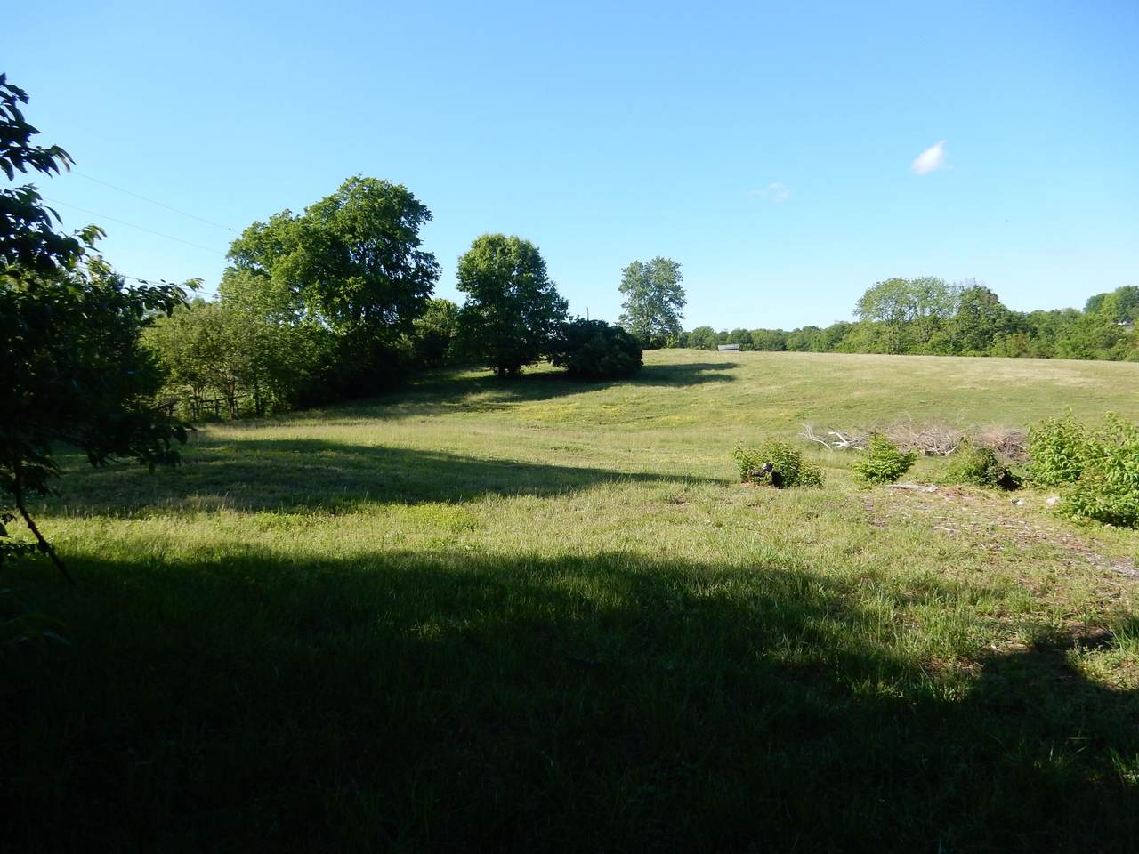 https://bt-photos.global.ssl.fastly.net/lexington/1280_boomver_1_20260512000047666312000000-2.jpg