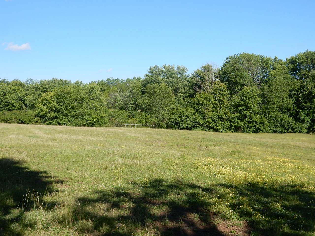 https://bt-photos.global.ssl.fastly.net/lexington/1280_boomver_1_20260512000047666312000000-2.jpg