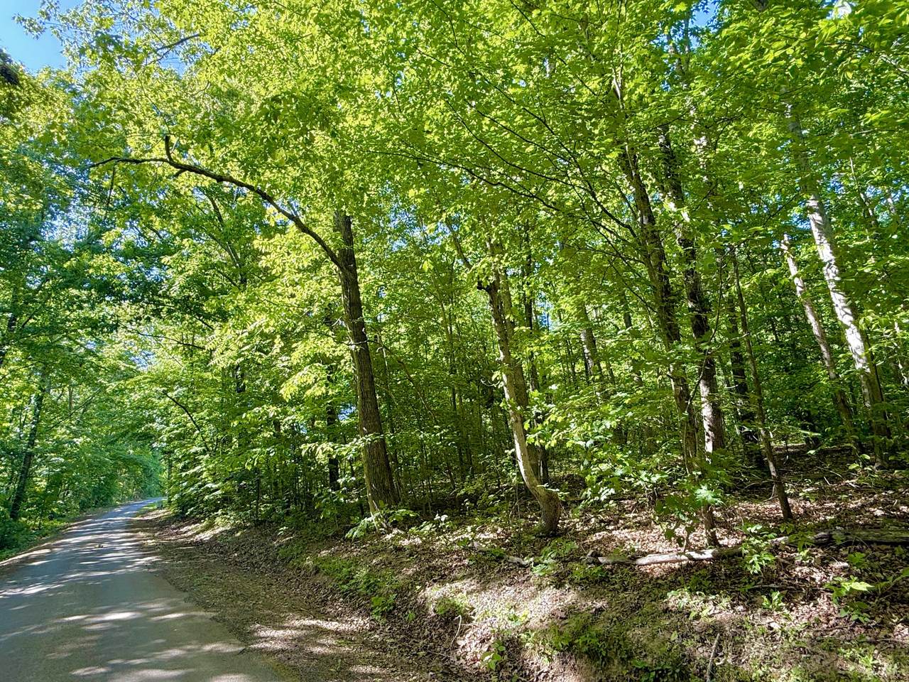 https://bt-photos.global.ssl.fastly.net/lexington/1280_boomver_1_20260512122747944617000000-2.jpg