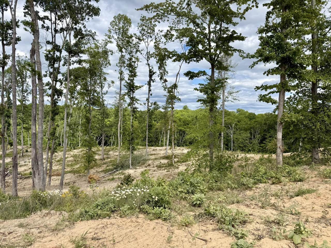 Lot 13 Kenway Drive - Photo 1