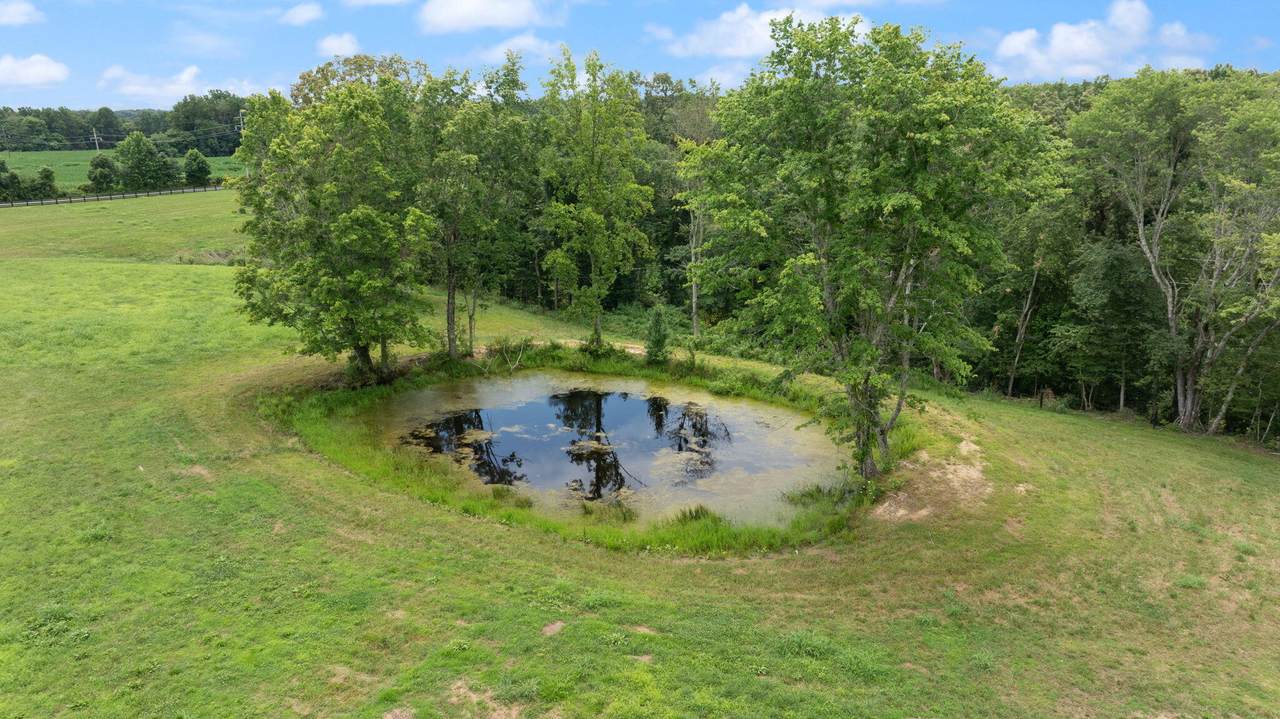 https://bt-photos.global.ssl.fastly.net/lexington/1280_boomver_1_20260515185107314409000000-2.jpg