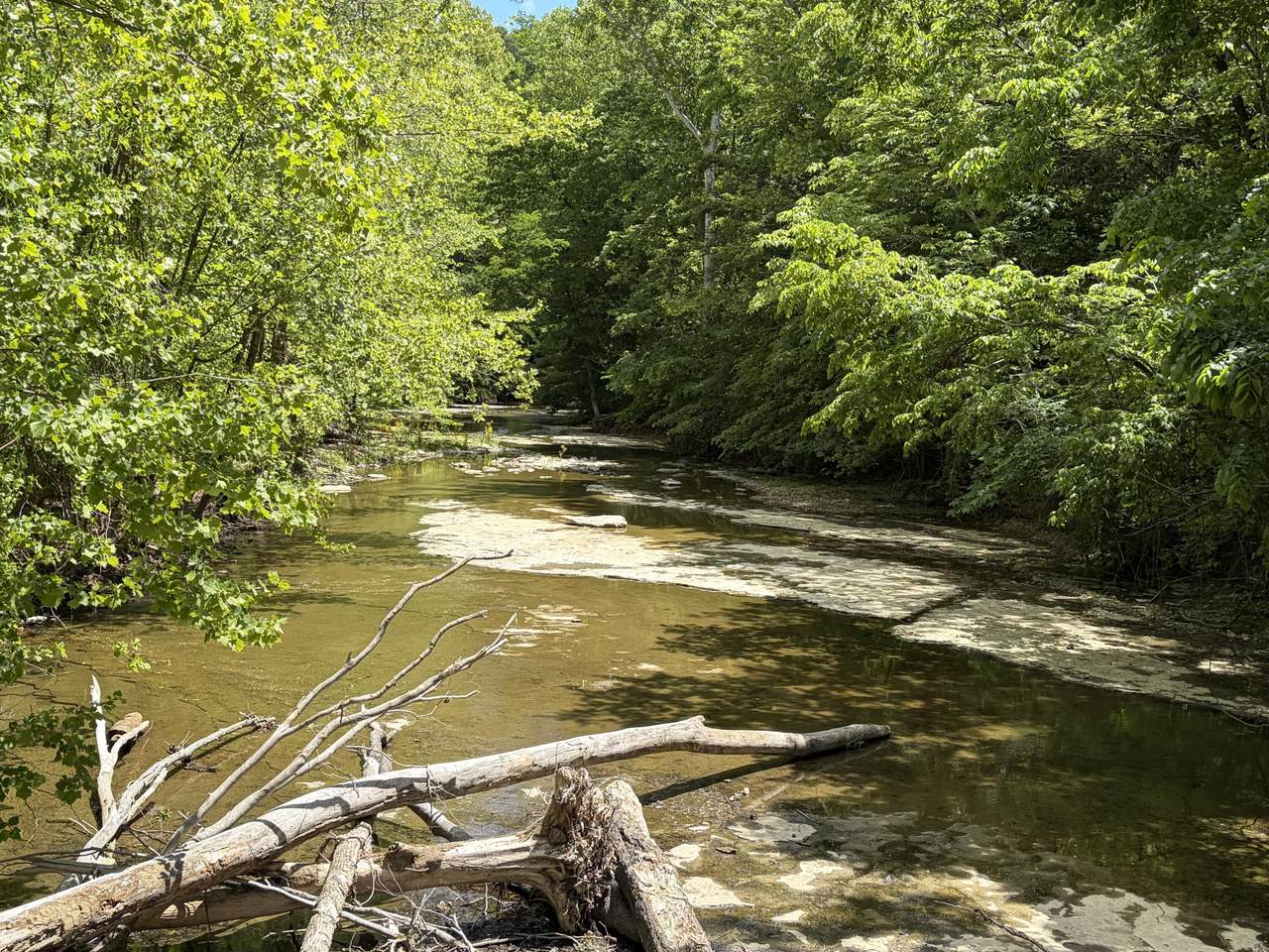 4570 Pointer Creek Road - Photo 1