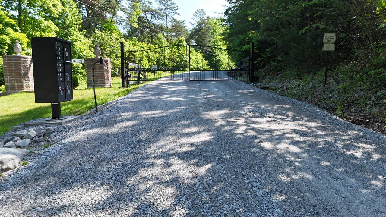 Tract 15 Buck Tail Drive - Photo 1