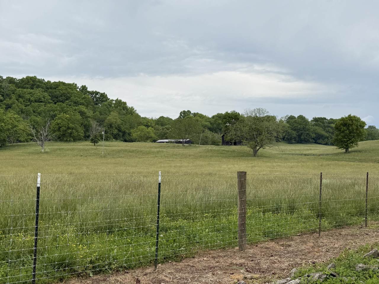 https://bt-photos.global.ssl.fastly.net/lexington/1280_boomver_1_20260518150256137437000000-2.jpg