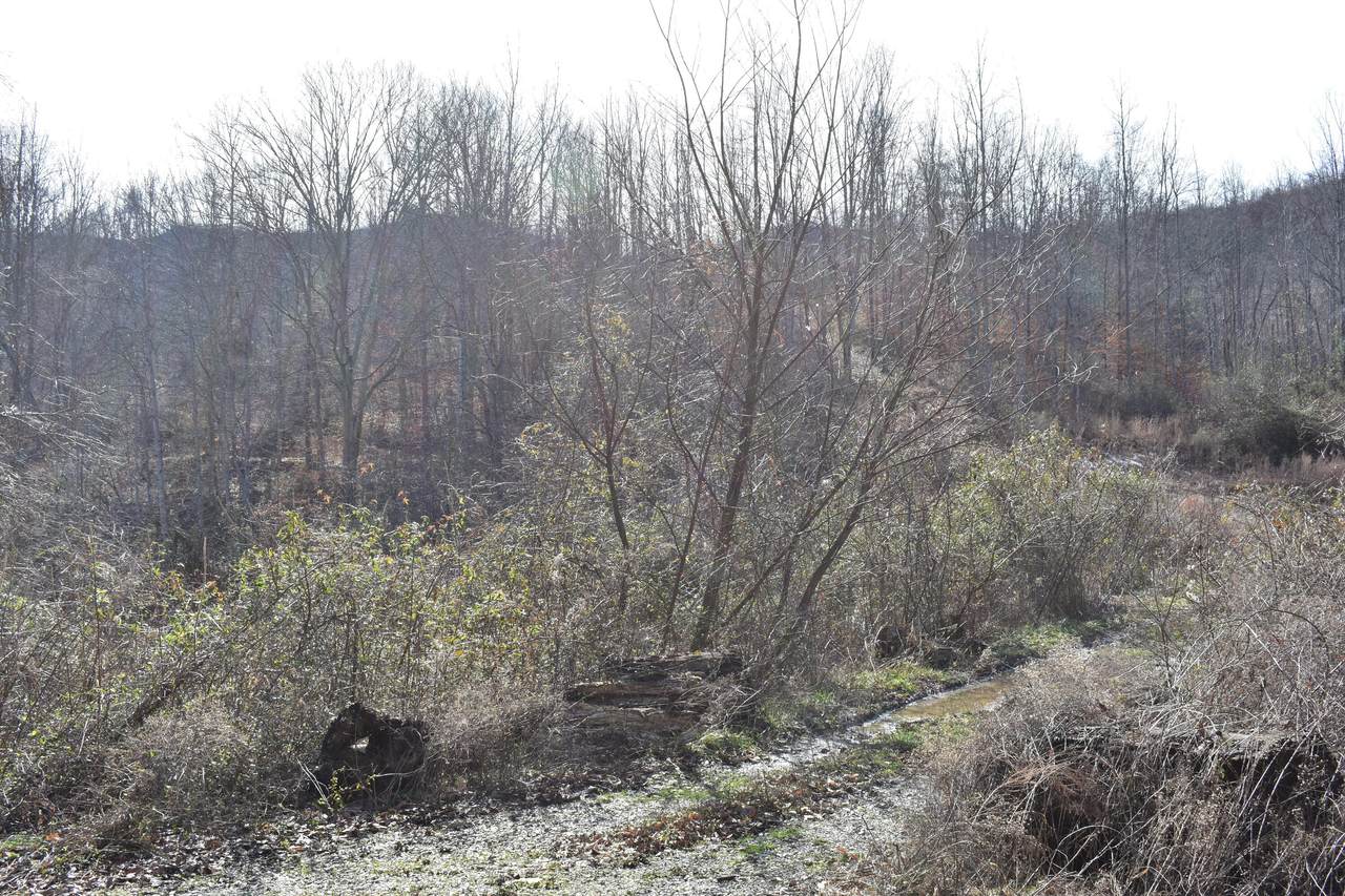 1767 Pawpaw Road - Photo 1