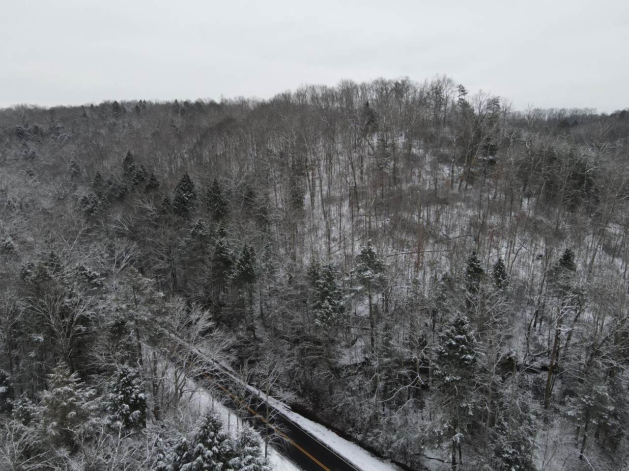 00 Paunch Creek Rd - Photo 1