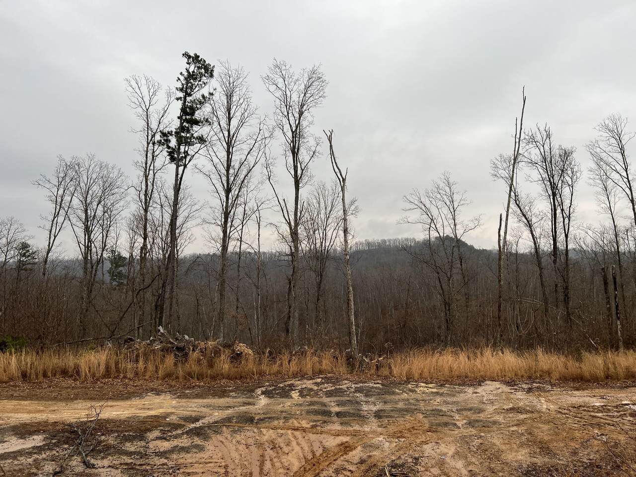 00 Ws Chriswell Road - Photo 1