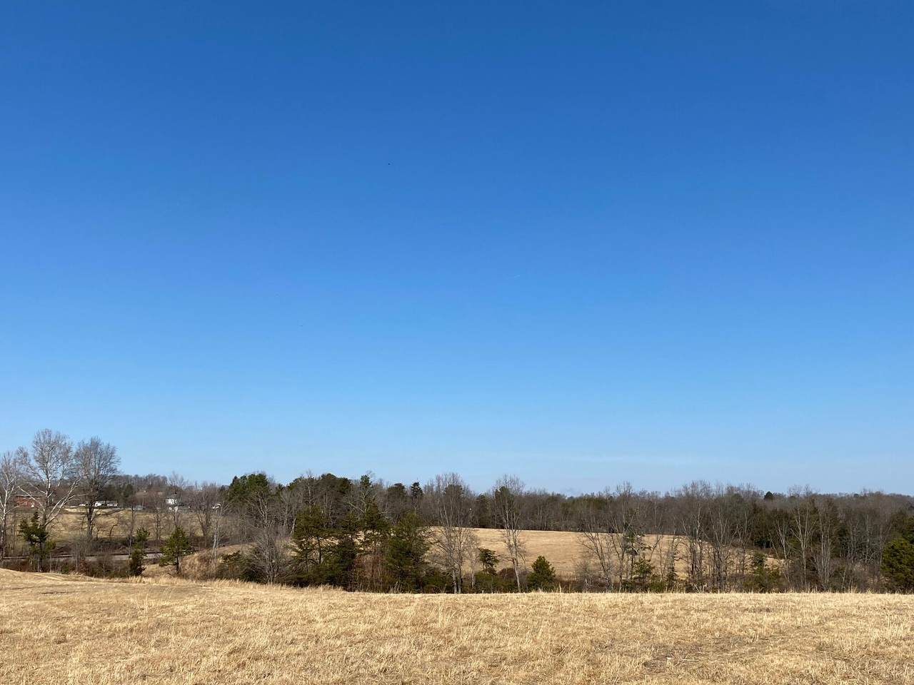 313 Jim Maggard Road - Photo 1