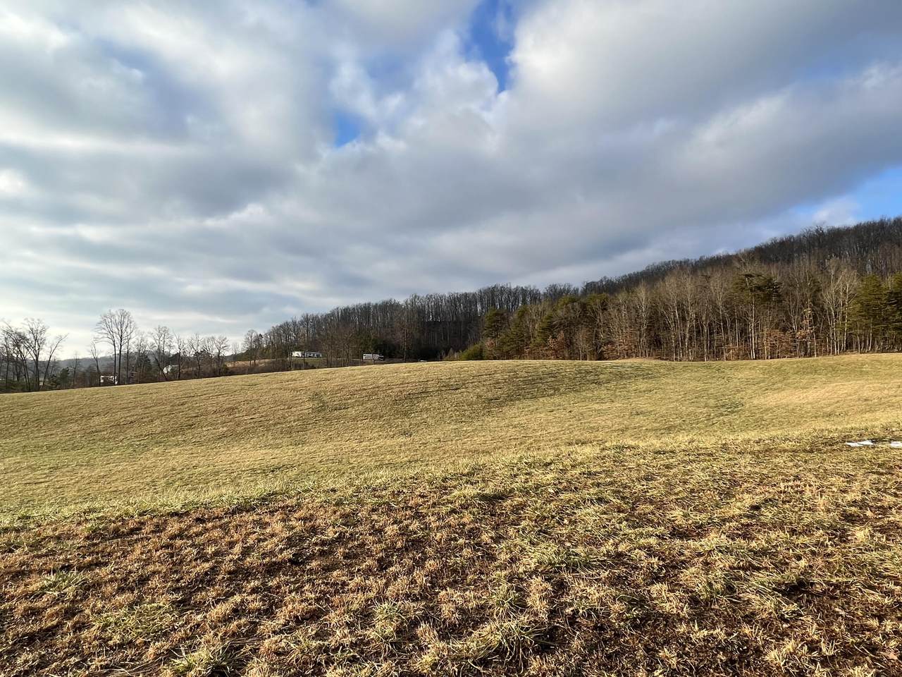 Lot #19 Laredo Drive - Photo 1