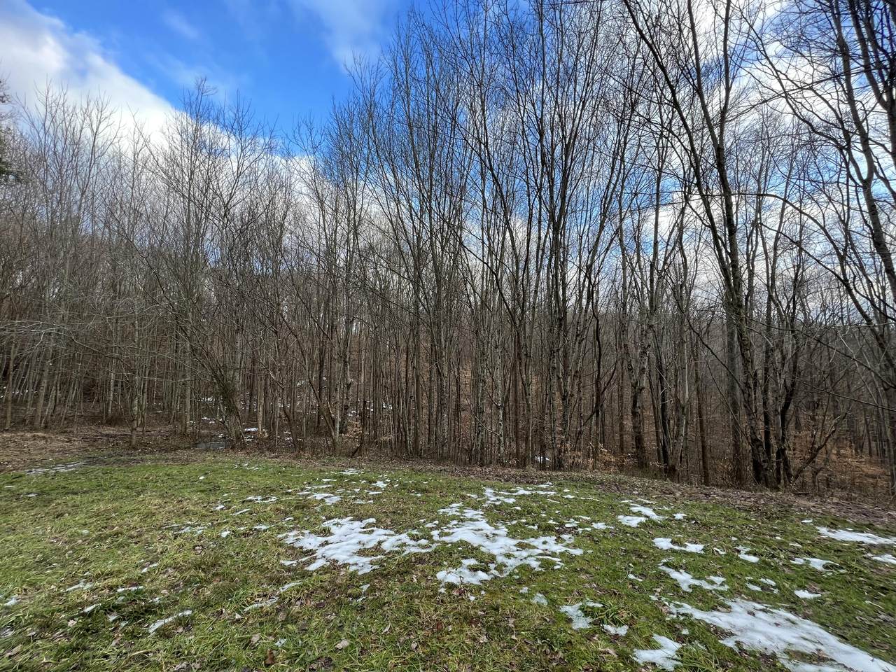 Lot #51 Laredo Drive - Photo 1