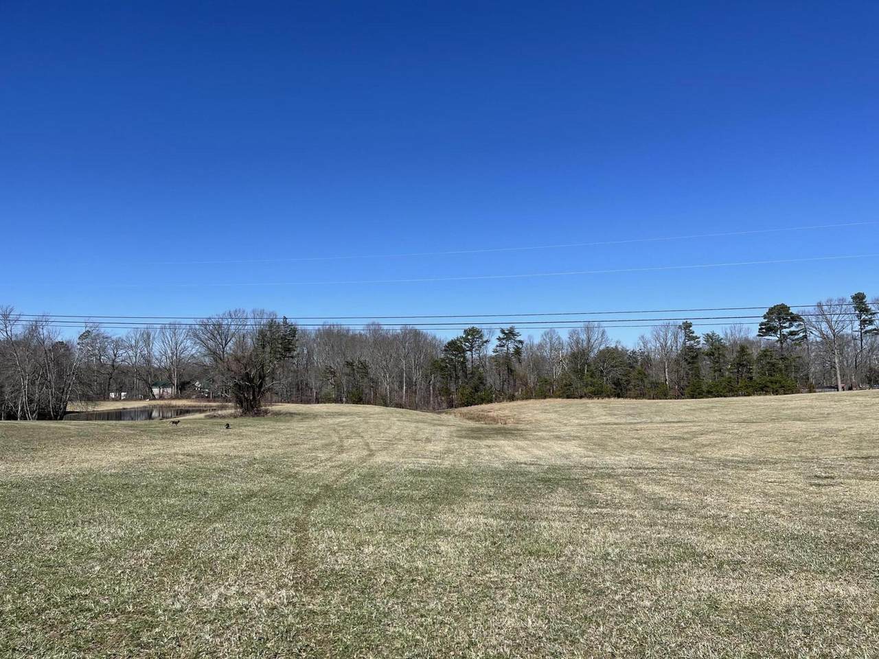 0 Meadows Grove Connector Road - Photo 1