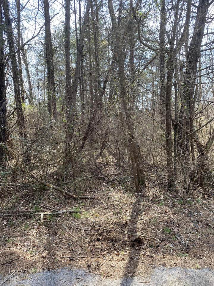 Lot 1057 Palisades Court - Photo 1
