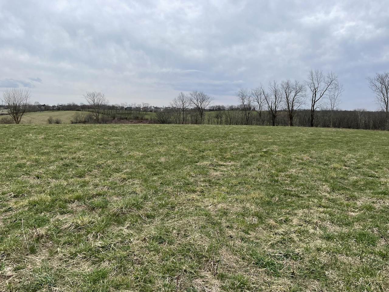 2130 Mcclure Road - Photo 1