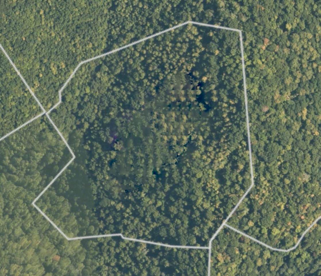 0 Meadows Branch Road - Photo 1