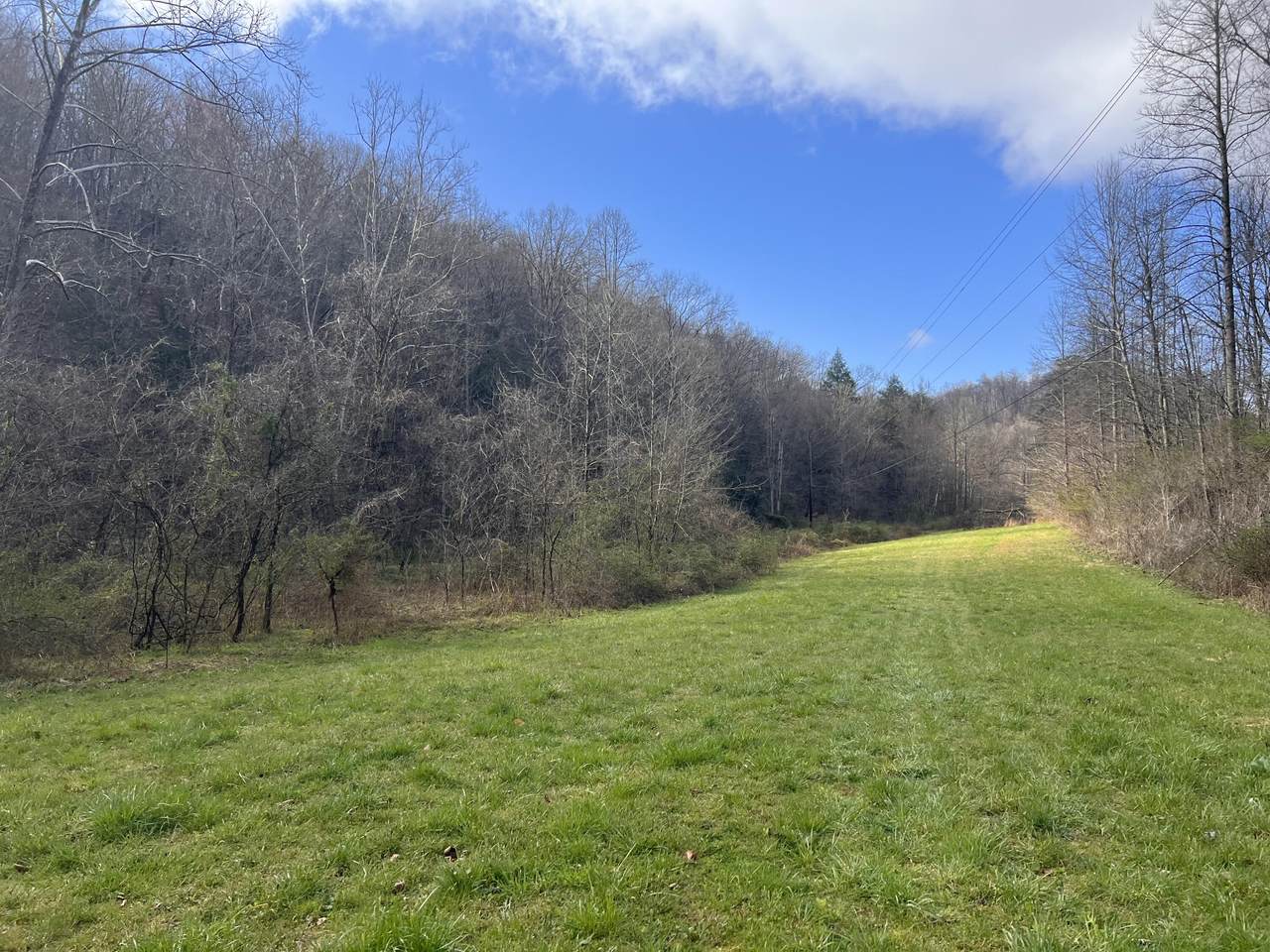 1850 Highway 1000 - Photo 1