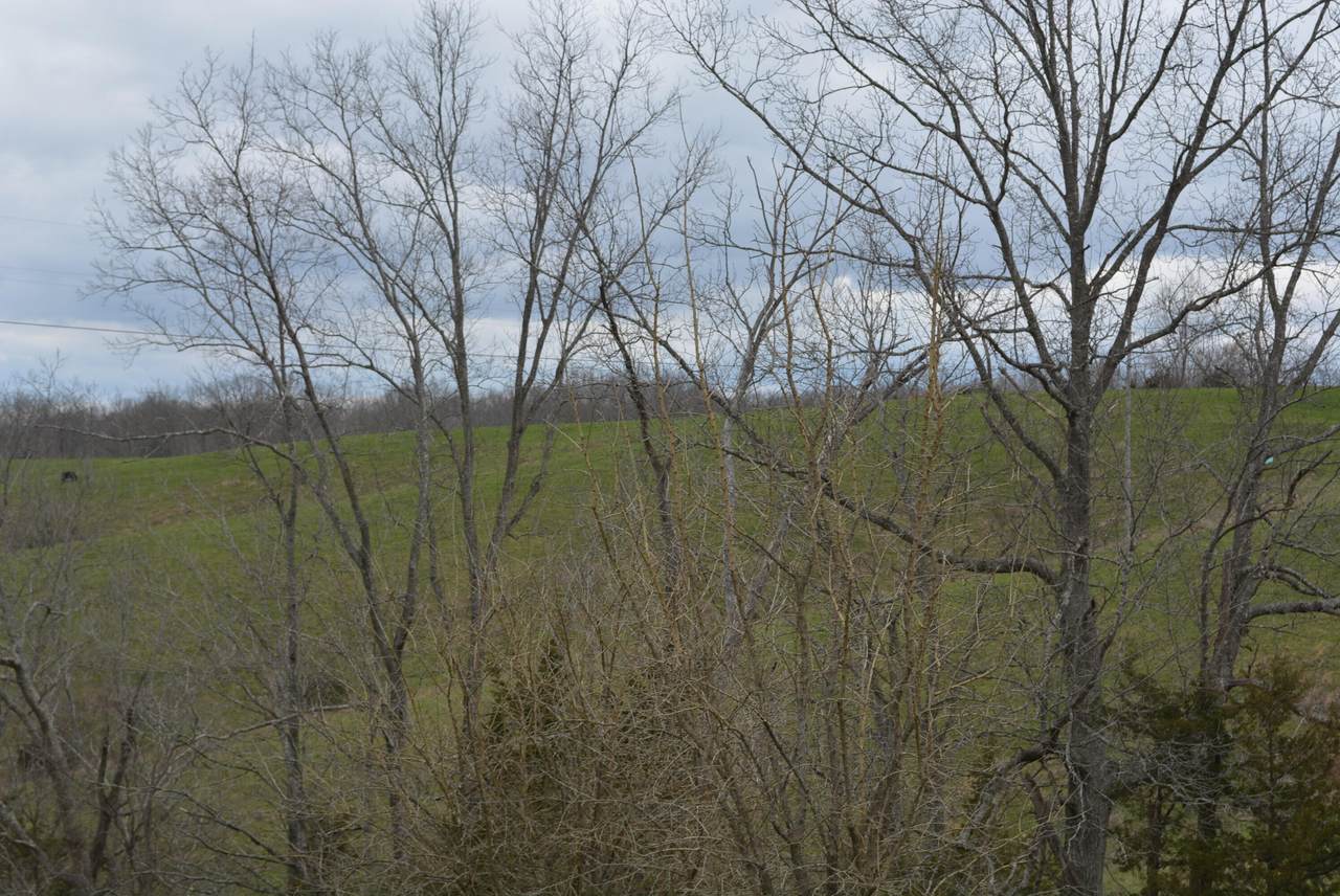 6 Chowning Lane - Photo 1