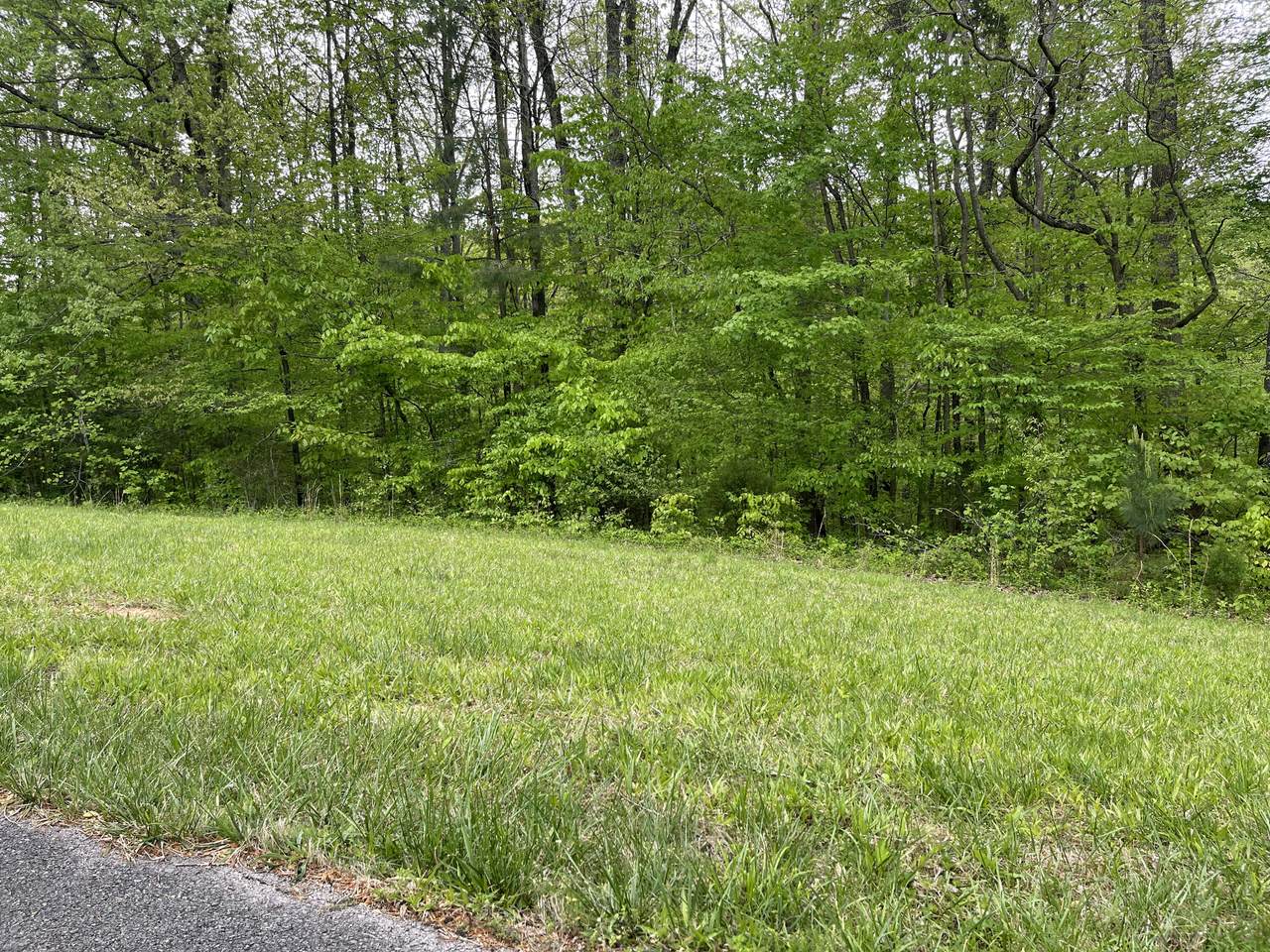 54 Scafidi Lane - Photo 1