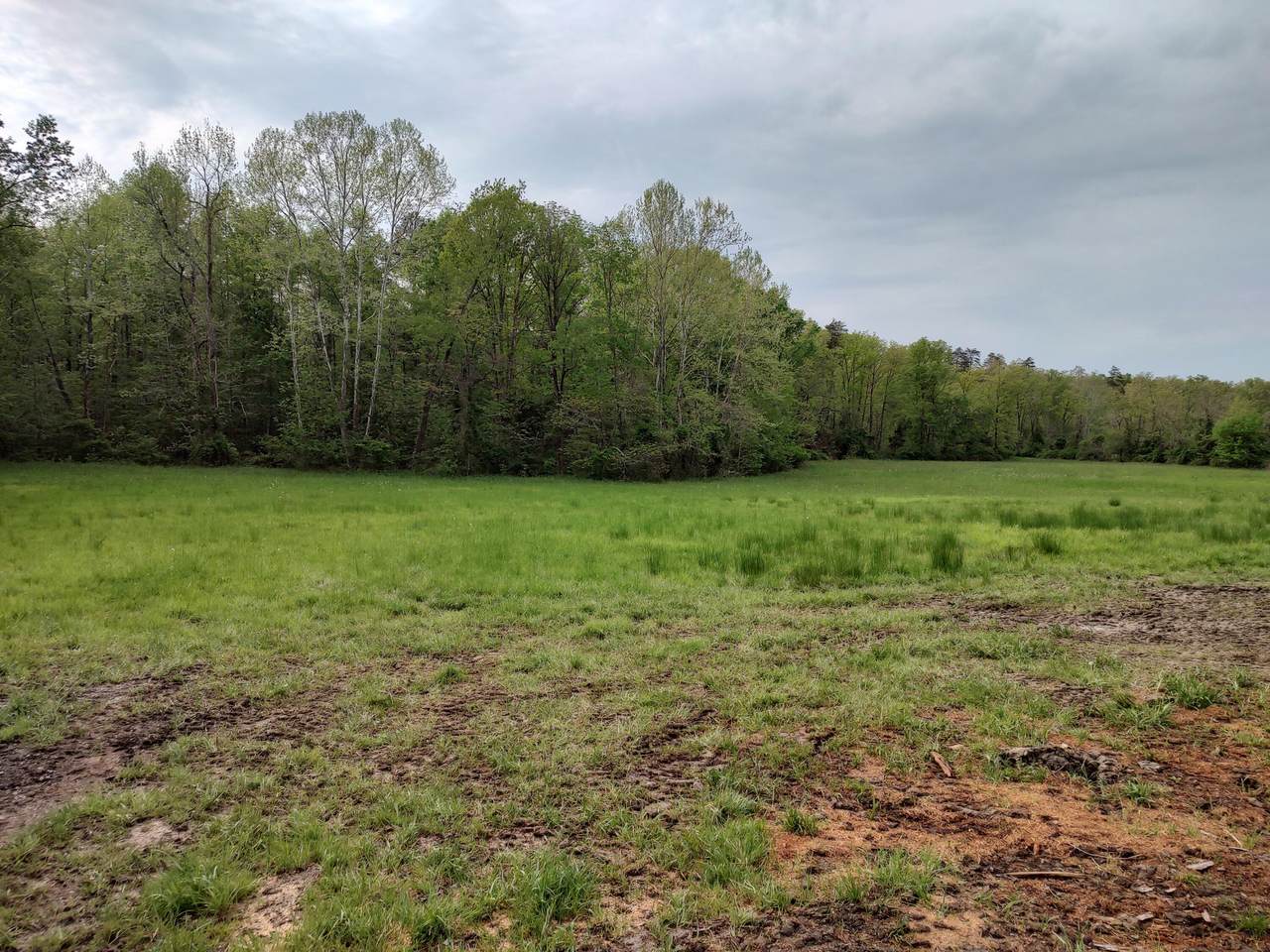 00 Pilot Knob Road - Photo 1