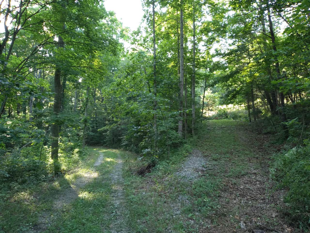 937 High Rock Road - Photo 1