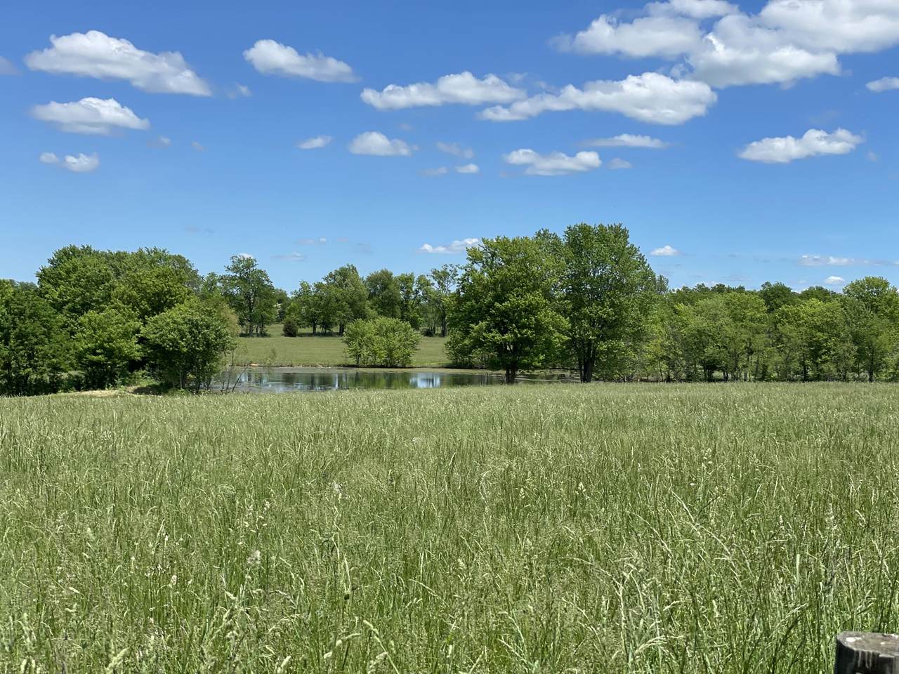 260 Flood Road - Photo 1