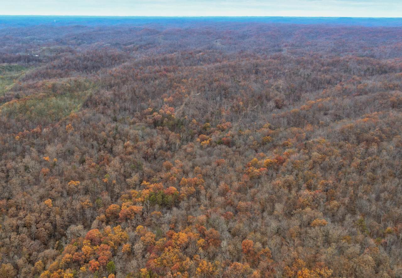 5694 Hwy 364 Road - Photo 1
