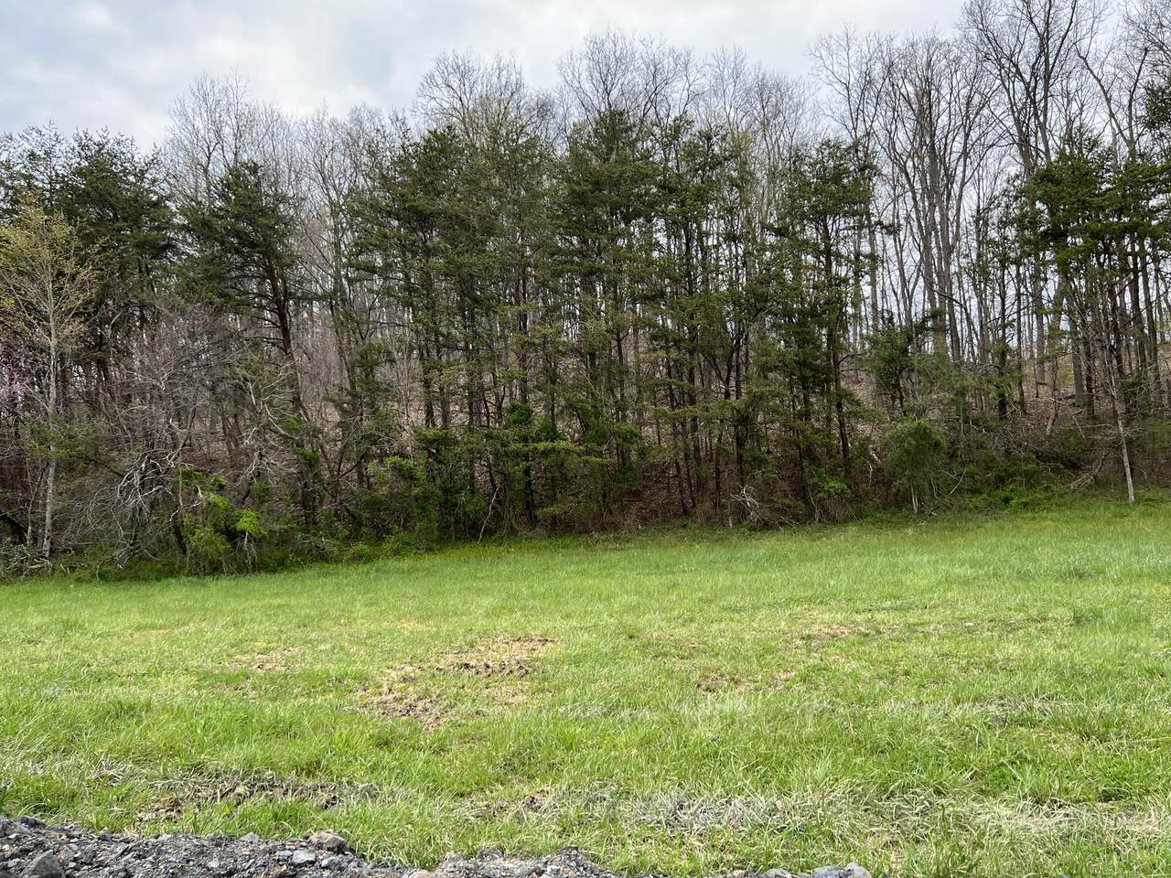 Lot #17 Laredo Drive - Photo 1