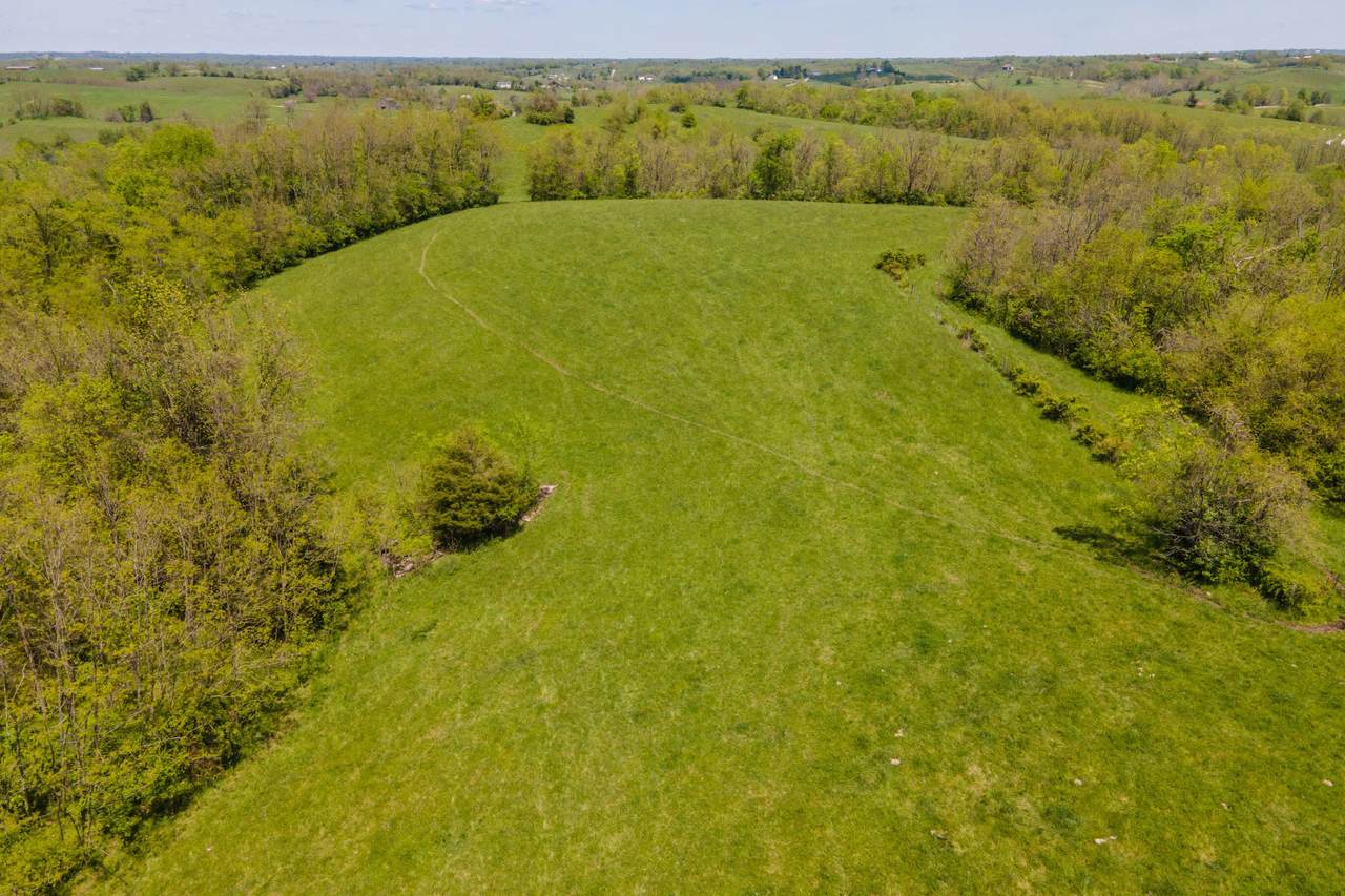 1270 Levy Road - Photo 1