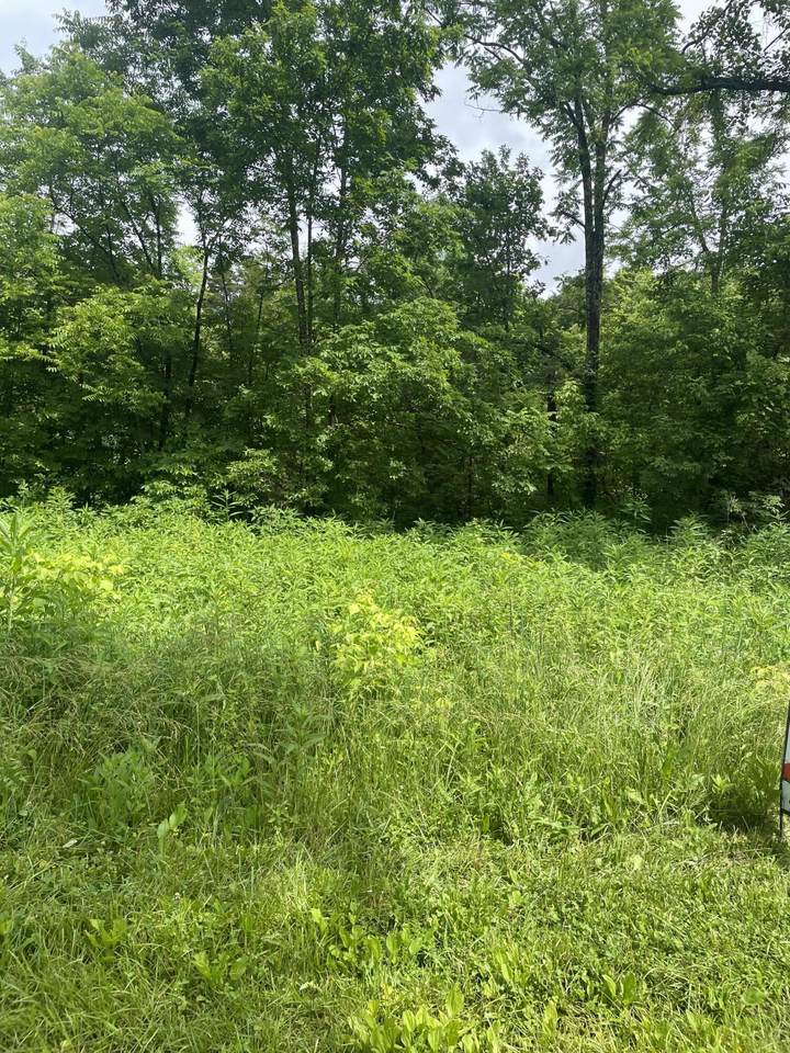 0 Scaffold Lick Creek Tract #2 Road - Photo 1